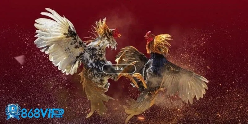 Đá Gà 868Vip - id Chiến thuật chơi đá gà 868vip hiệu quả